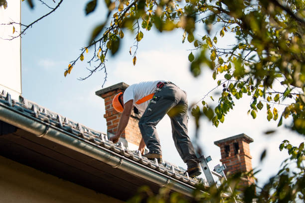 Best Commercial Roofing Services  in Lester Prairie, MN