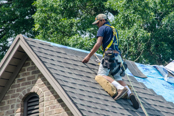 Best Roof Waterproofing Services  in Lester Prairie, MN